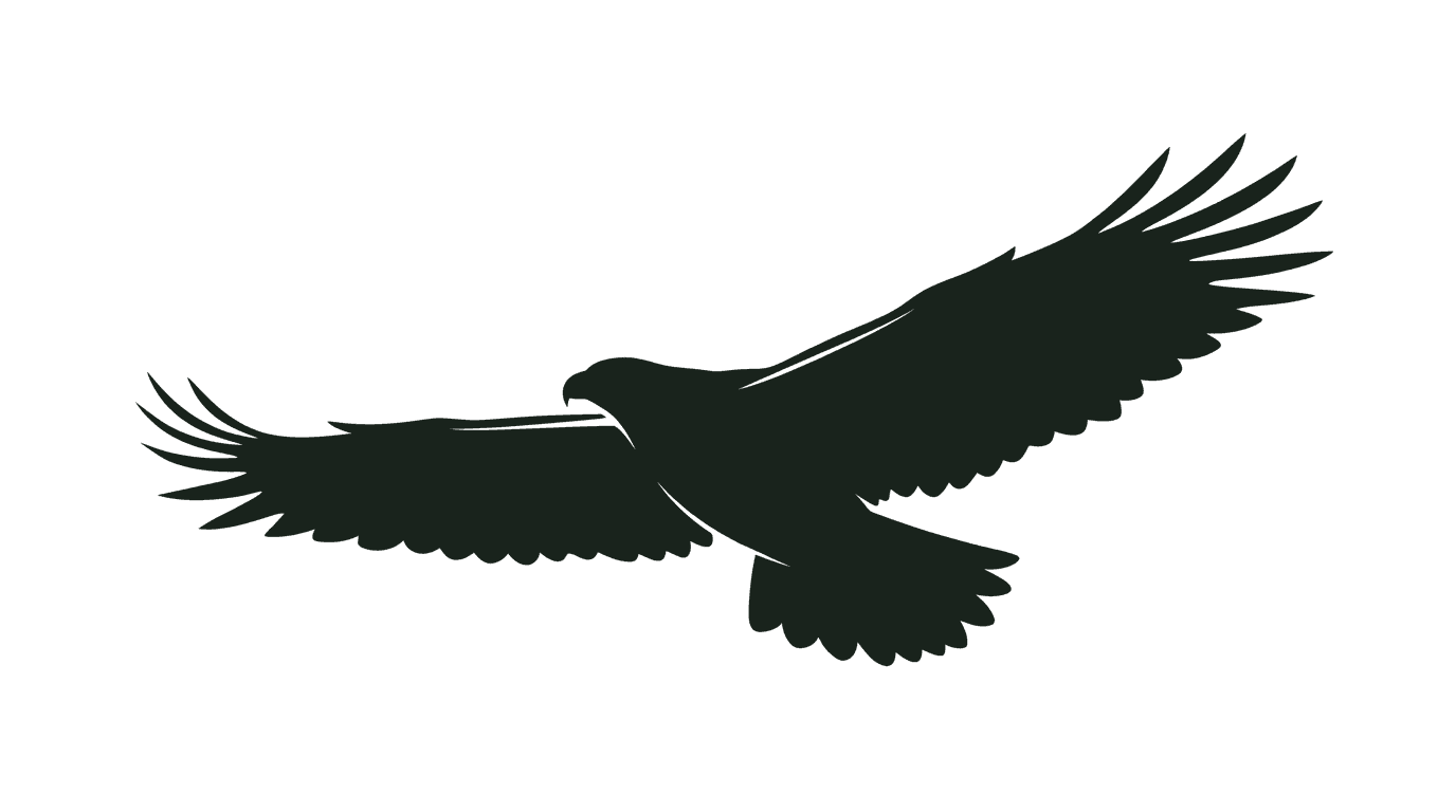 Soaring Eagle Silhouette